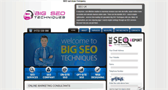 Desktop Screenshot of bigseotechniques.com